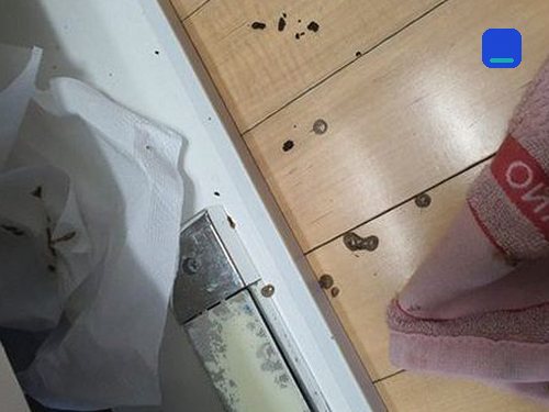 빌라 싱크대 배수 정비 양천구 하수구막힘 빌라 싱크대 배수 정비